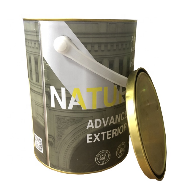 5L printed tin bucket/metal tin bucket with lid and handle